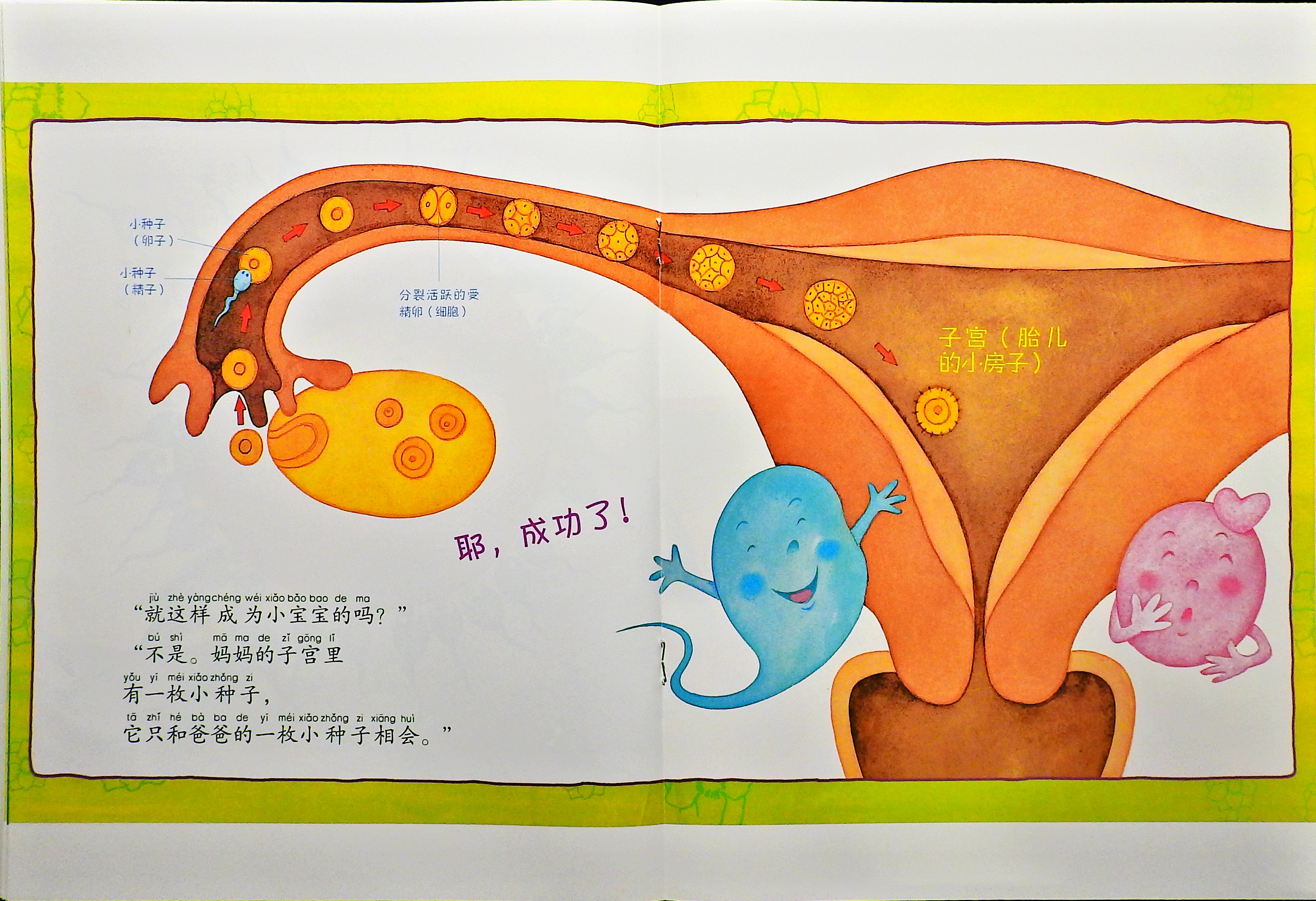 宝宝是怎么出生的？ (08),绘本,绘本故事,绘本阅读,故事书,童书,图画书,课外阅读